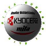 DITTA ROMAGNOLI ELIO